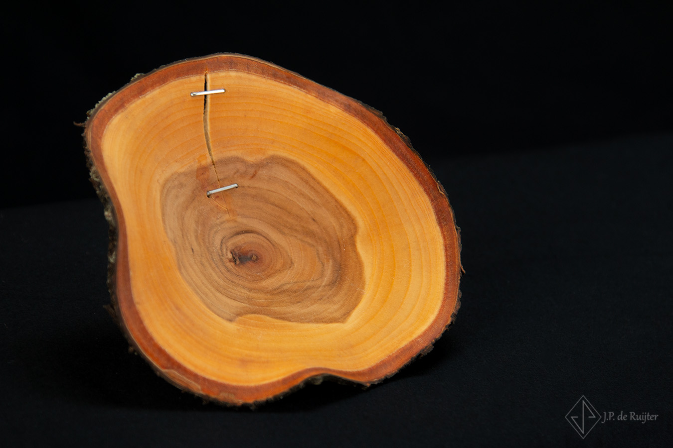 Video van een schaaltje, urban, natuurlijk, kersenhout, hout kunst, houtdraaien.